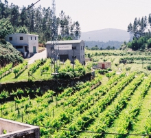 Quinta de Valetruto Quinta de Valetruto