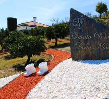 QUINTA D'OURO - PORTA NOVA