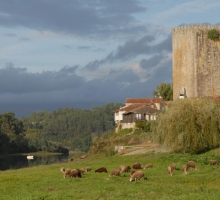 Núcleo Museológico da Torre de Lapela